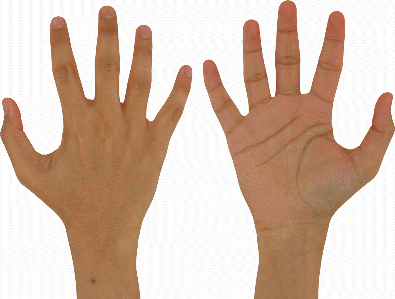 Hand Textures 